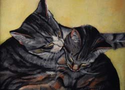 Two Cats with Yellow