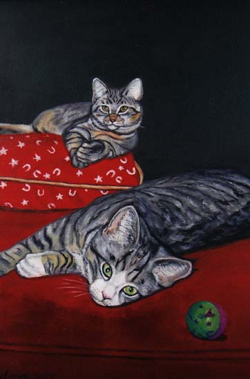 Cats Relax