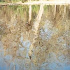 Reflection in Pond